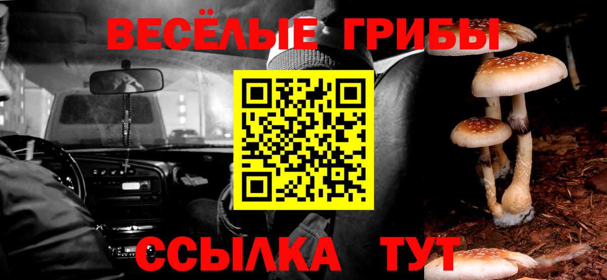 Галлюциногенные грибы MAGIC MUSHROOMS Ухта
